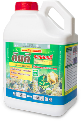 ดินดี ออกดอกดี