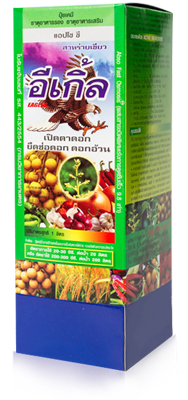 อีเกิ้ล