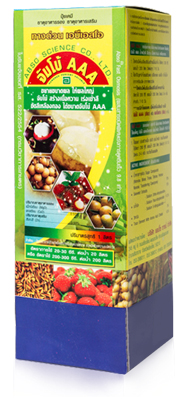 จัมโบ้ AAA