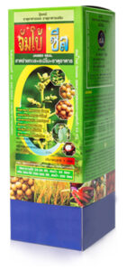 จัมโบ้ซีล