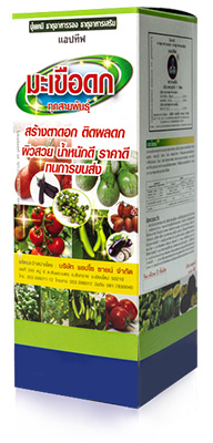 มะเขือดก