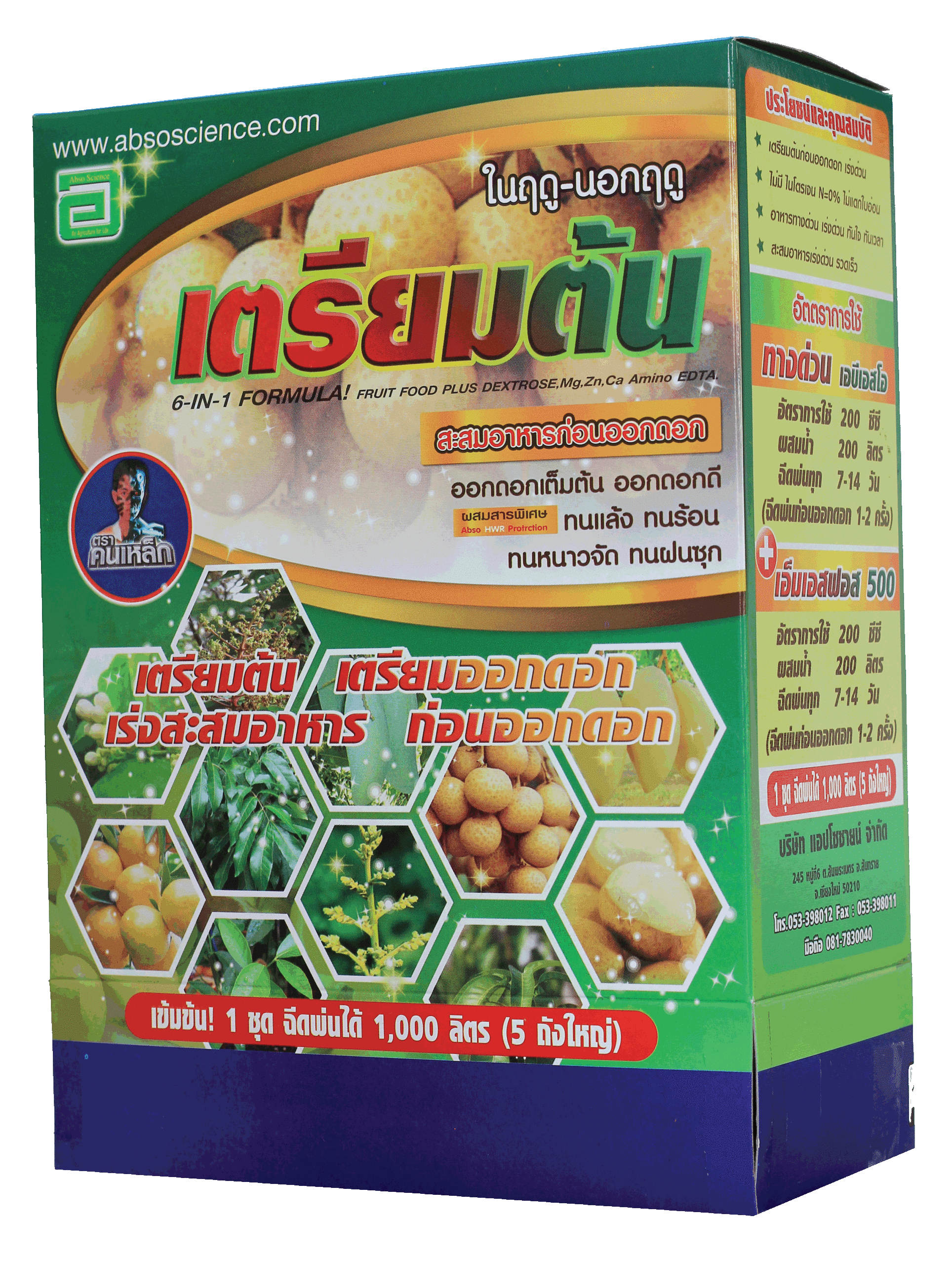 เตรียมต้น