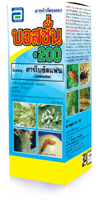 บอสชั่น