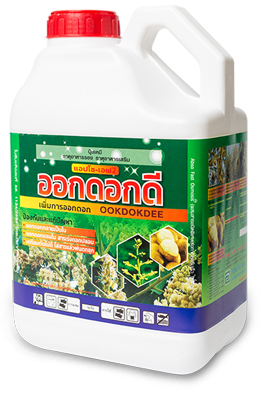 ออกดอกดี