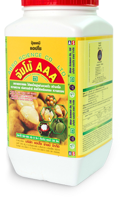 จัมโบ้ AAA