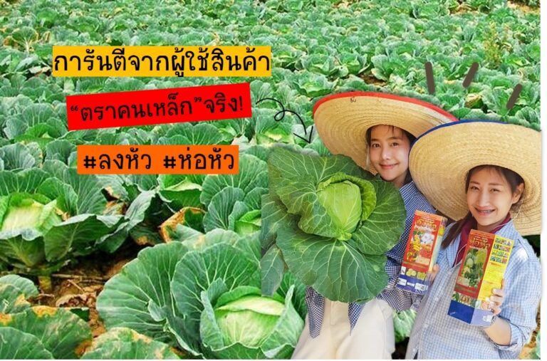 ปุ๋ยลำไย